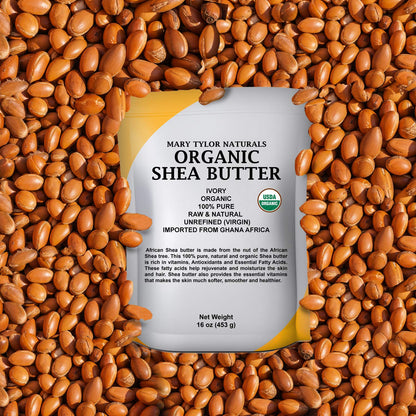 Shea butter displayed in a bowl for DIY skincare projects