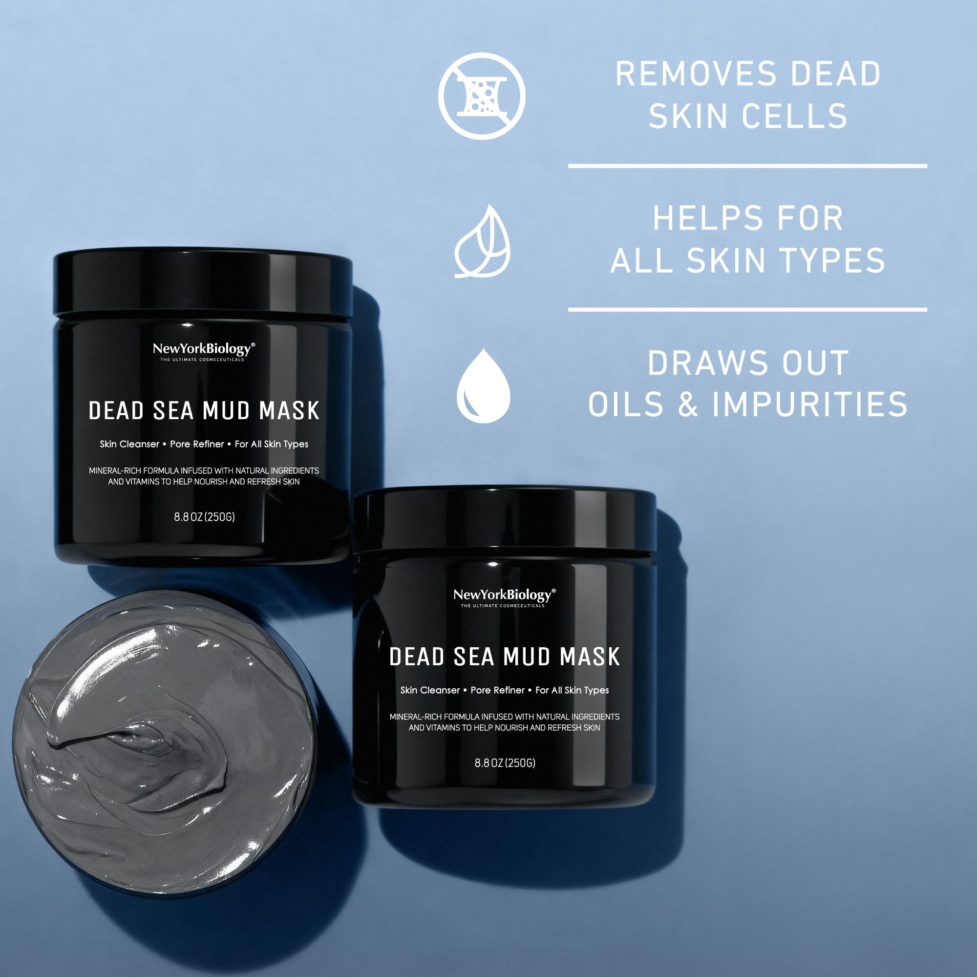 Texture of New York Biology Dead Sea Mud Mask for face and body