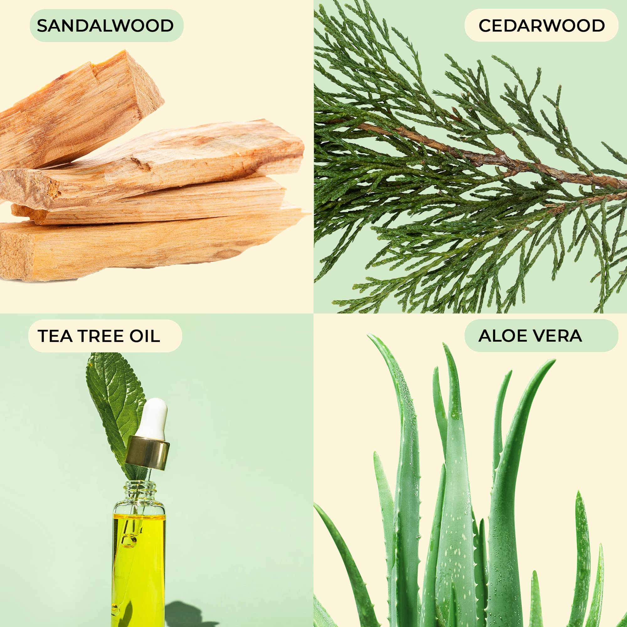 Body Prescriptions Mens Scrub assortment featuring tea tree sandalwood and aloe scents