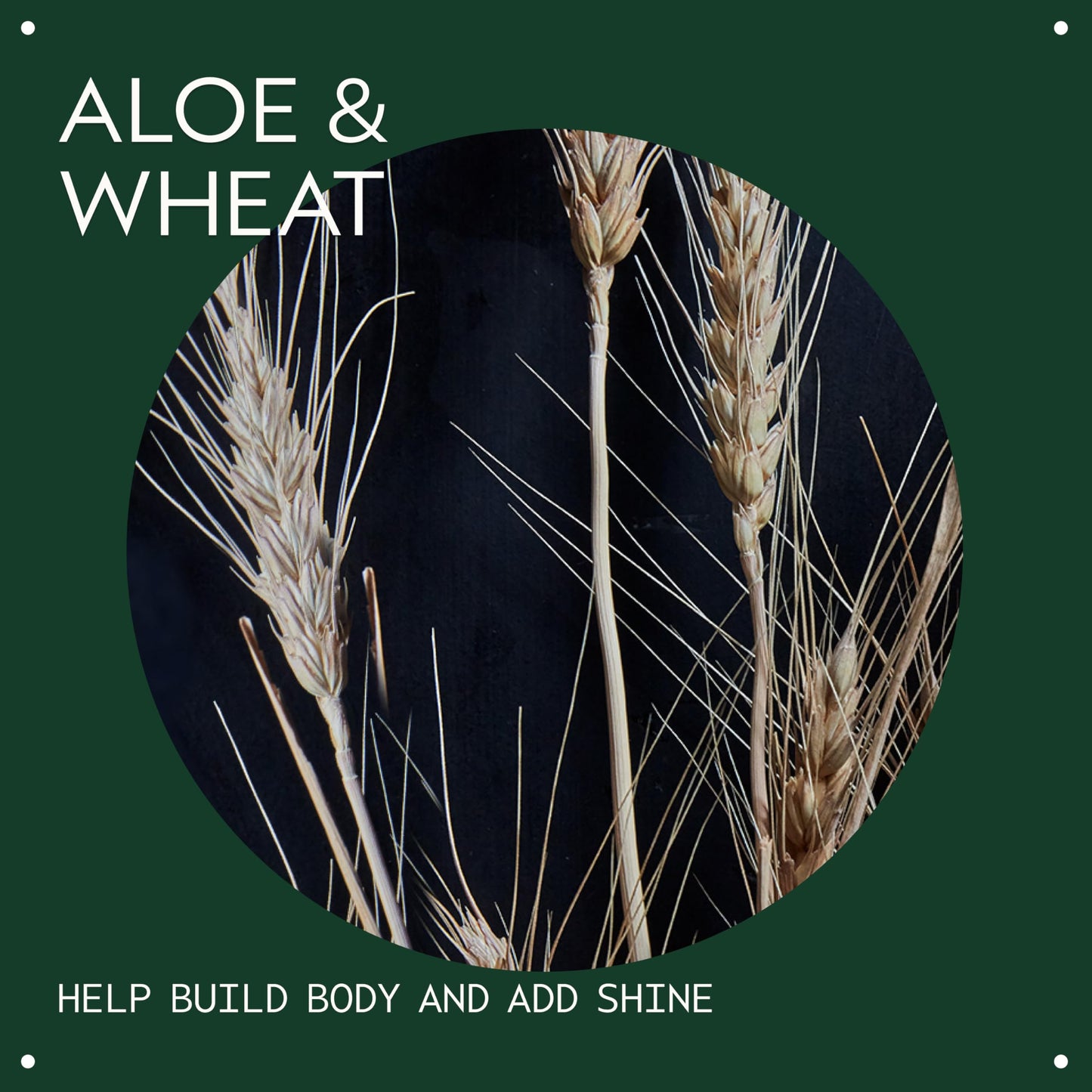 Weightless hair volumizer spray with certified organic aloe