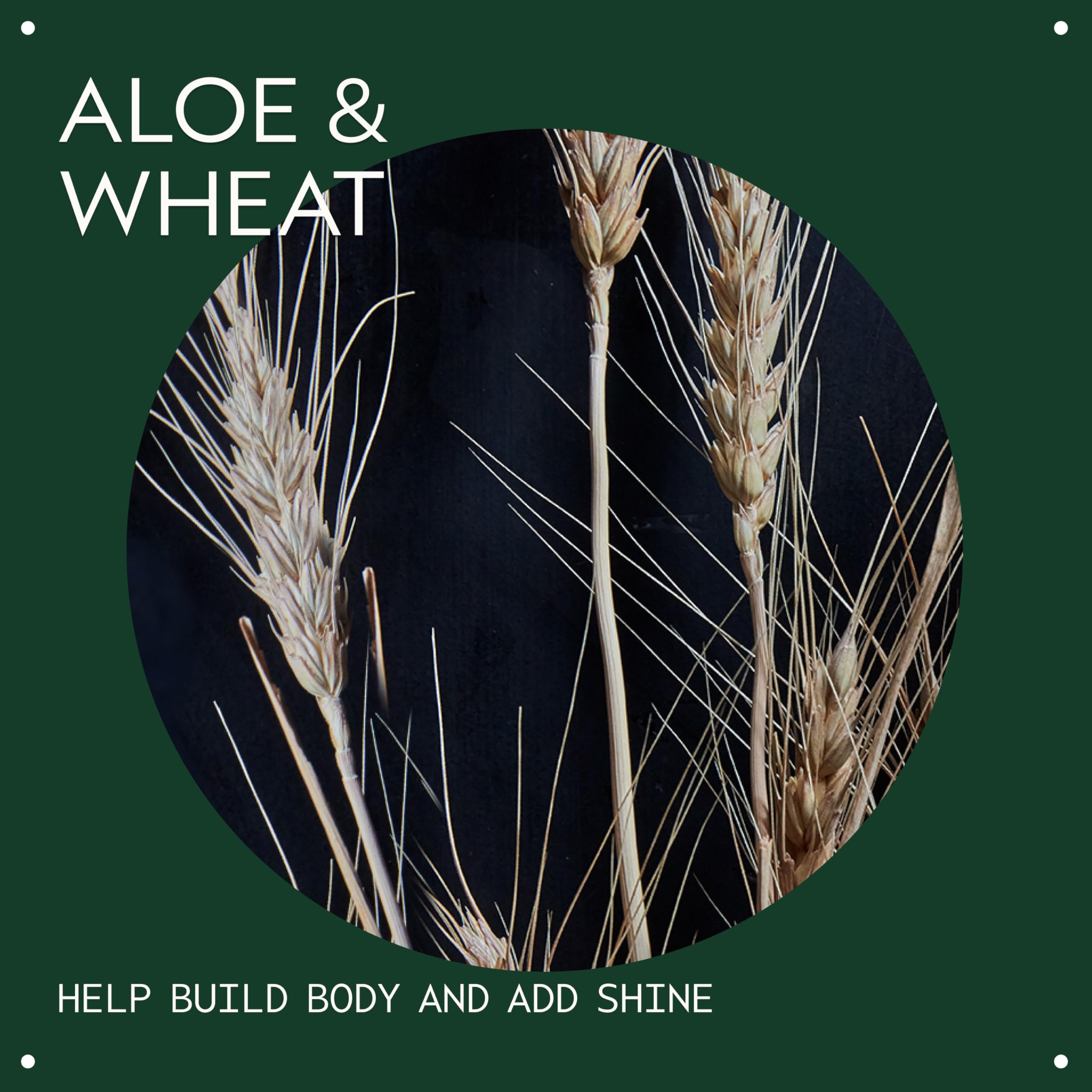 Weightless hair volumizer spray with certified organic aloe