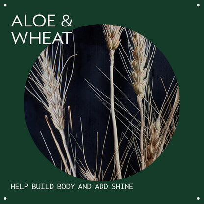 Weightless hair volumizer spray with certified organic aloe