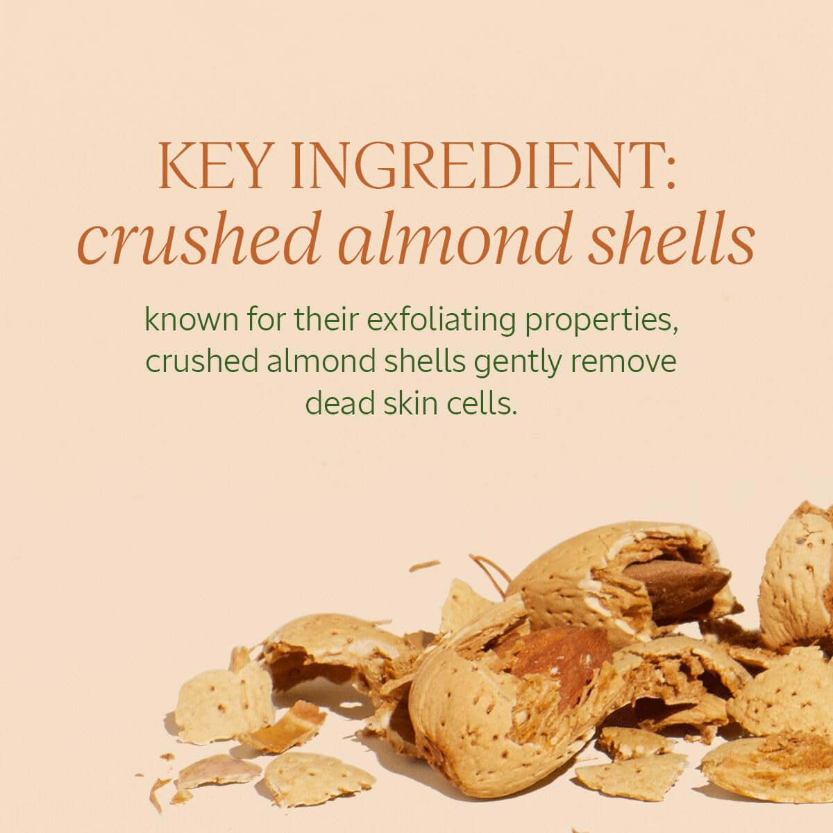 Creamy texture of almond body scrub with crushed shells.