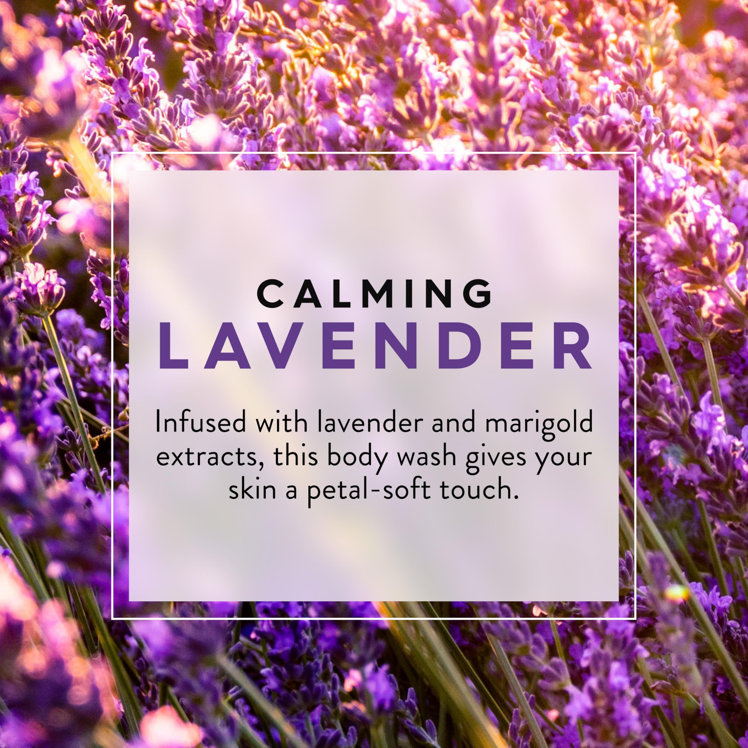 Back of Jason Calming Lavender Body Wash bottle with usage instructions