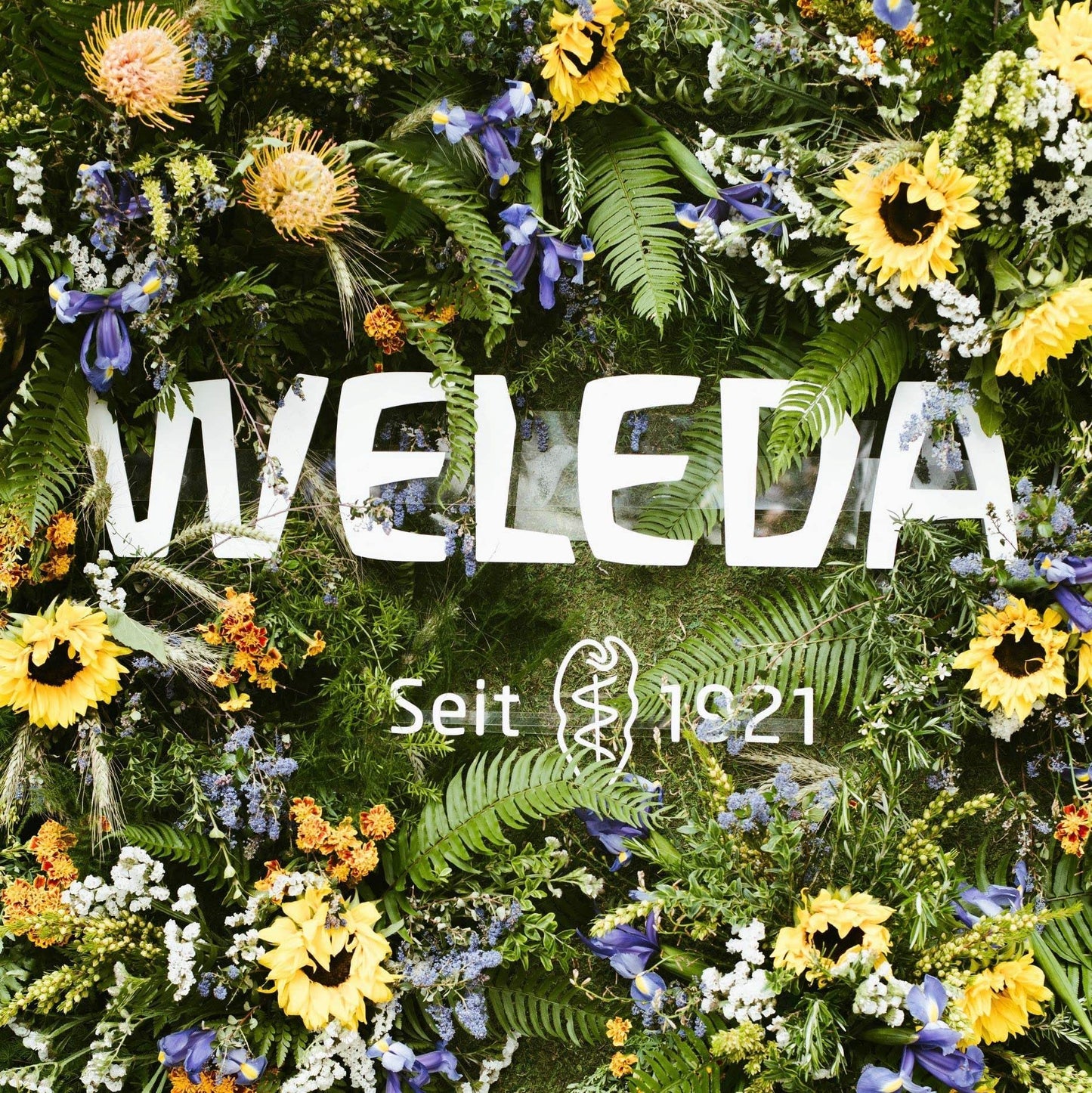 Weleda Skin Food organic plant extract body lotion back label details