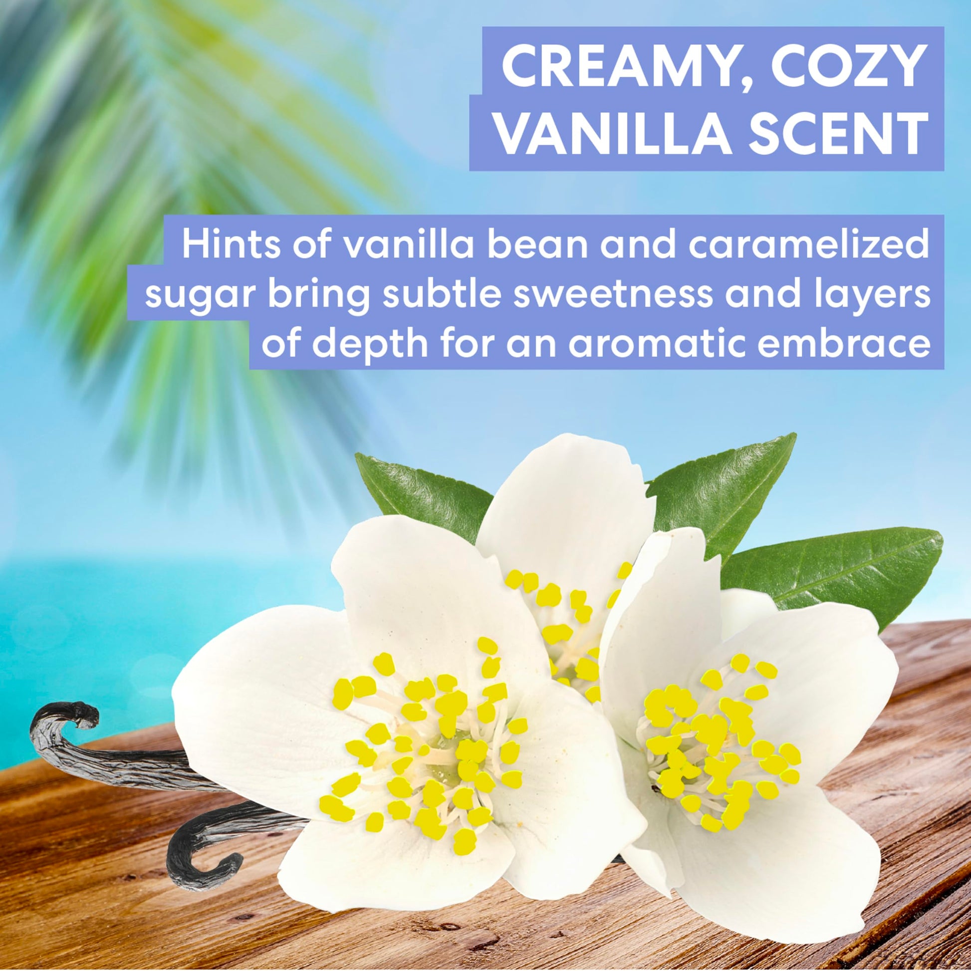 Palmer's 72 hour hydration body cream back label with ingredient list
