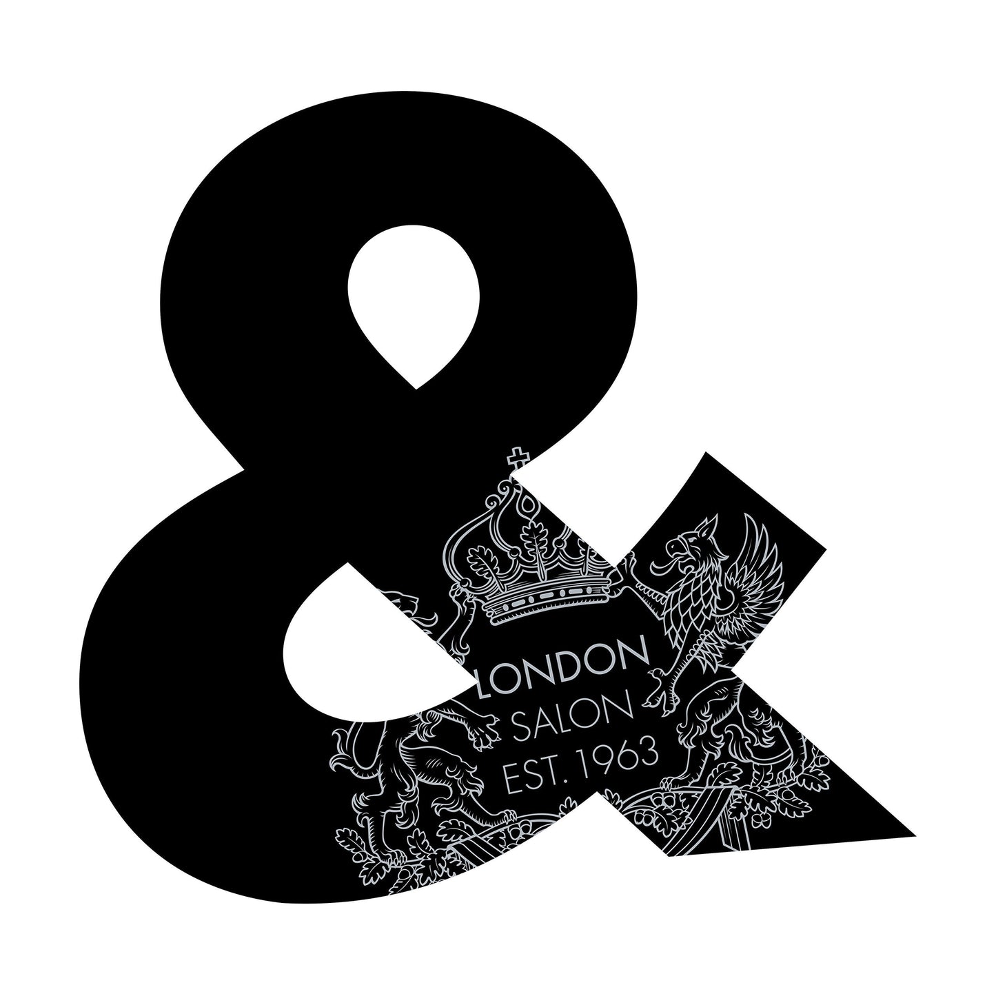 Toni and Guy professional hair styling product branding