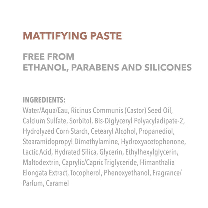 Goldwell StyleSign Mattifying Paste brand logo and branding