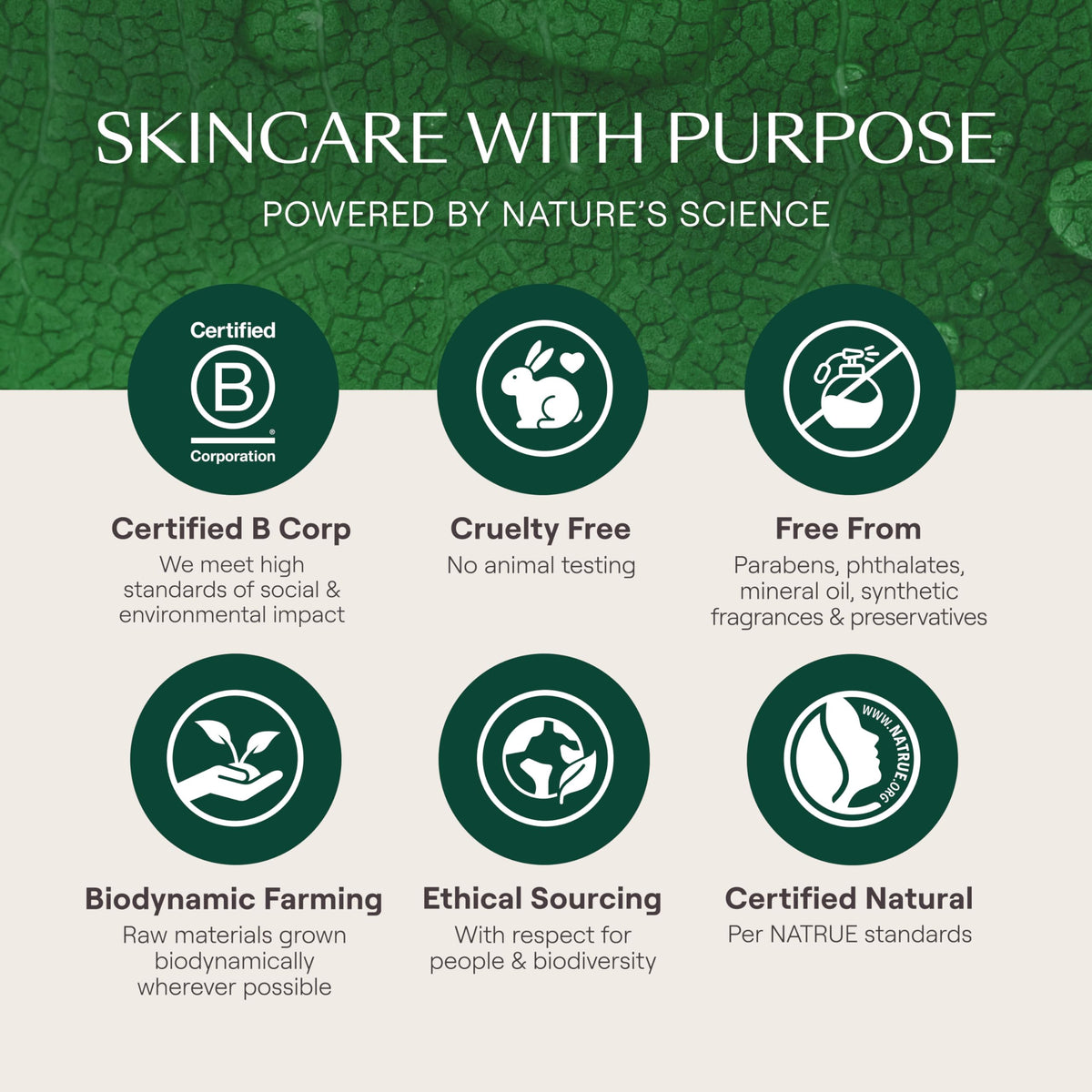 Weleda Original Ultra Rich Body Cream featuring pansy and chamomile elements