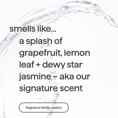 Eco friendly plant based gel hand soap sweet water fragrance.