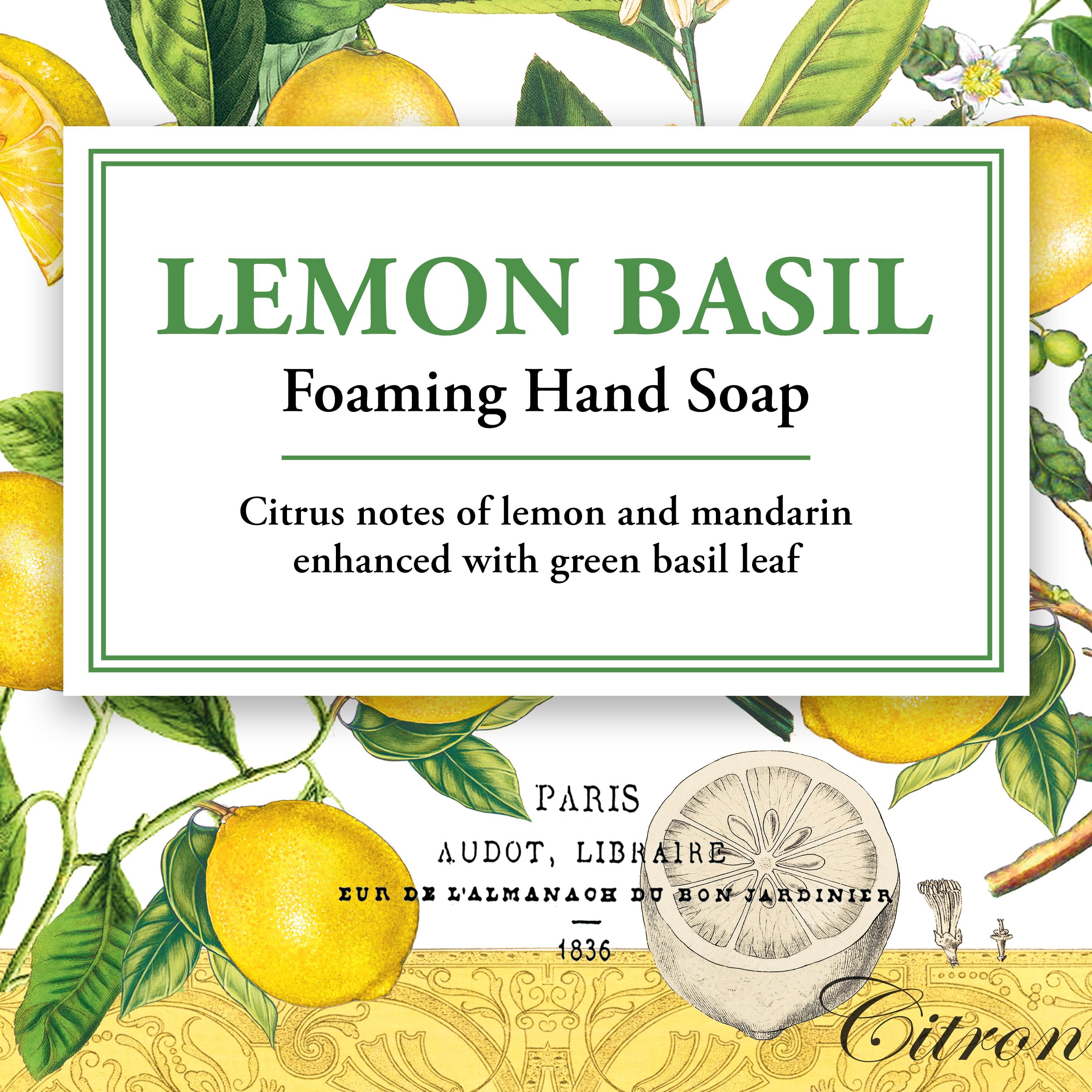 Michel Design Works Lemon Basil foaming liquid hand wash elegant square pump dispenser