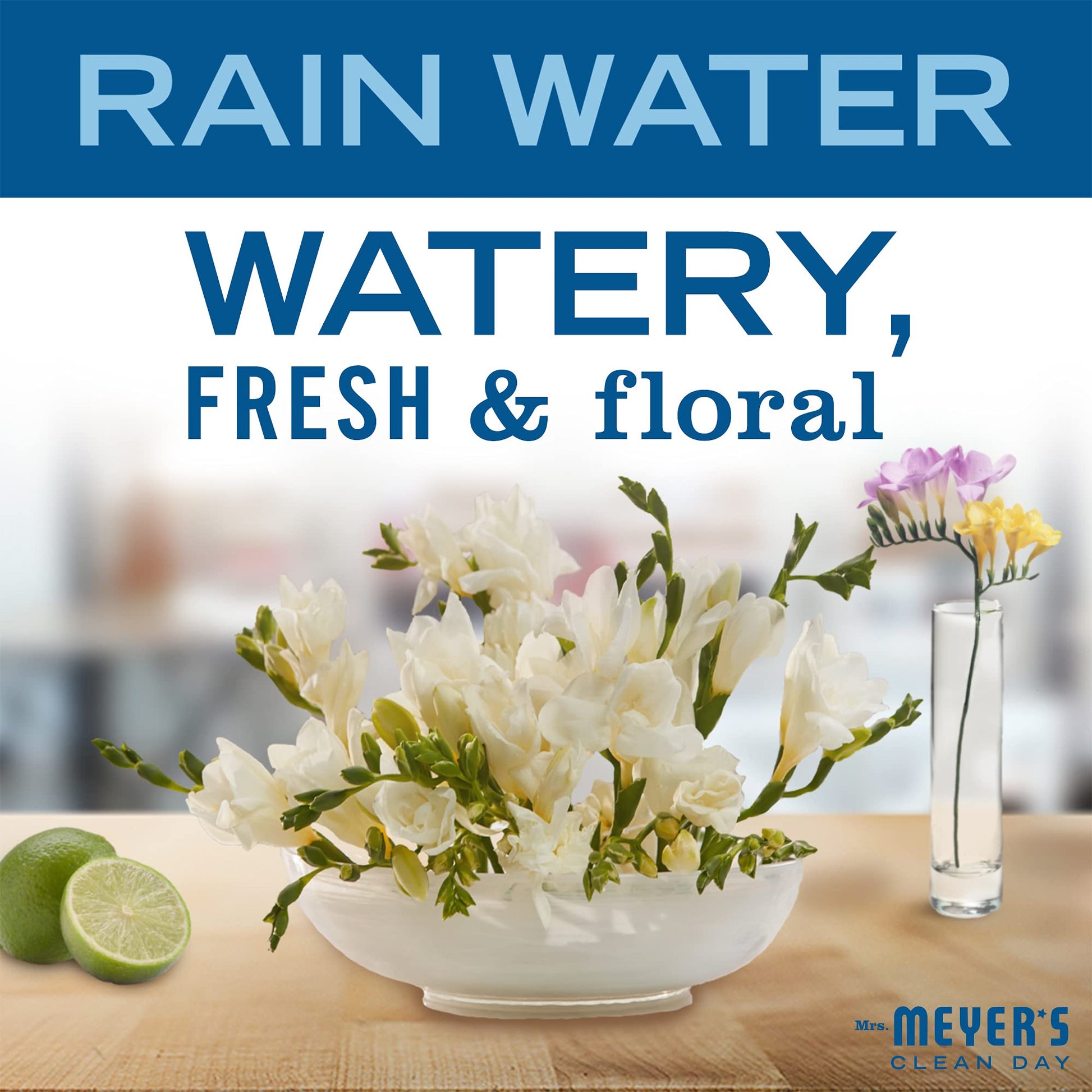 Close up of Mrs. Meyer's Rain Water scent concentrated soap refill bottles