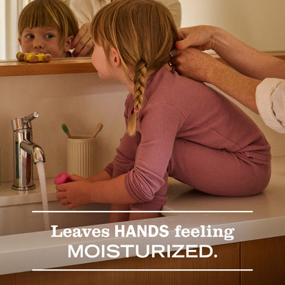 Close up of the 12.5 fluid ounce packaging for Mrs. Meyer's liquid hand wash