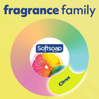 Softsoap fresh citrus hand soap multipack packaging box