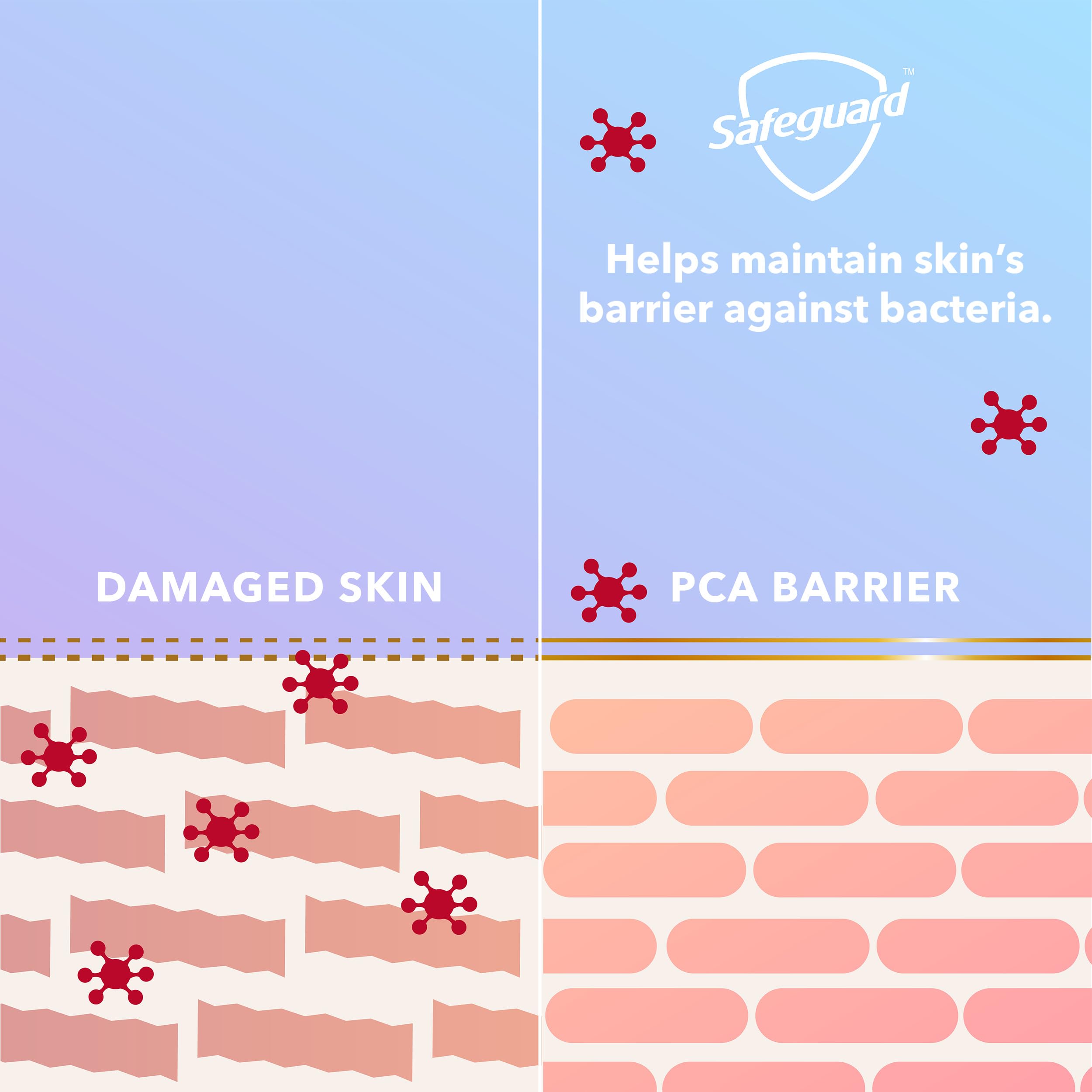 Back label of Safeguard antibacterial hand soap ingredients
