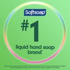 Softsoap soothing clean hand soap back label ingredients