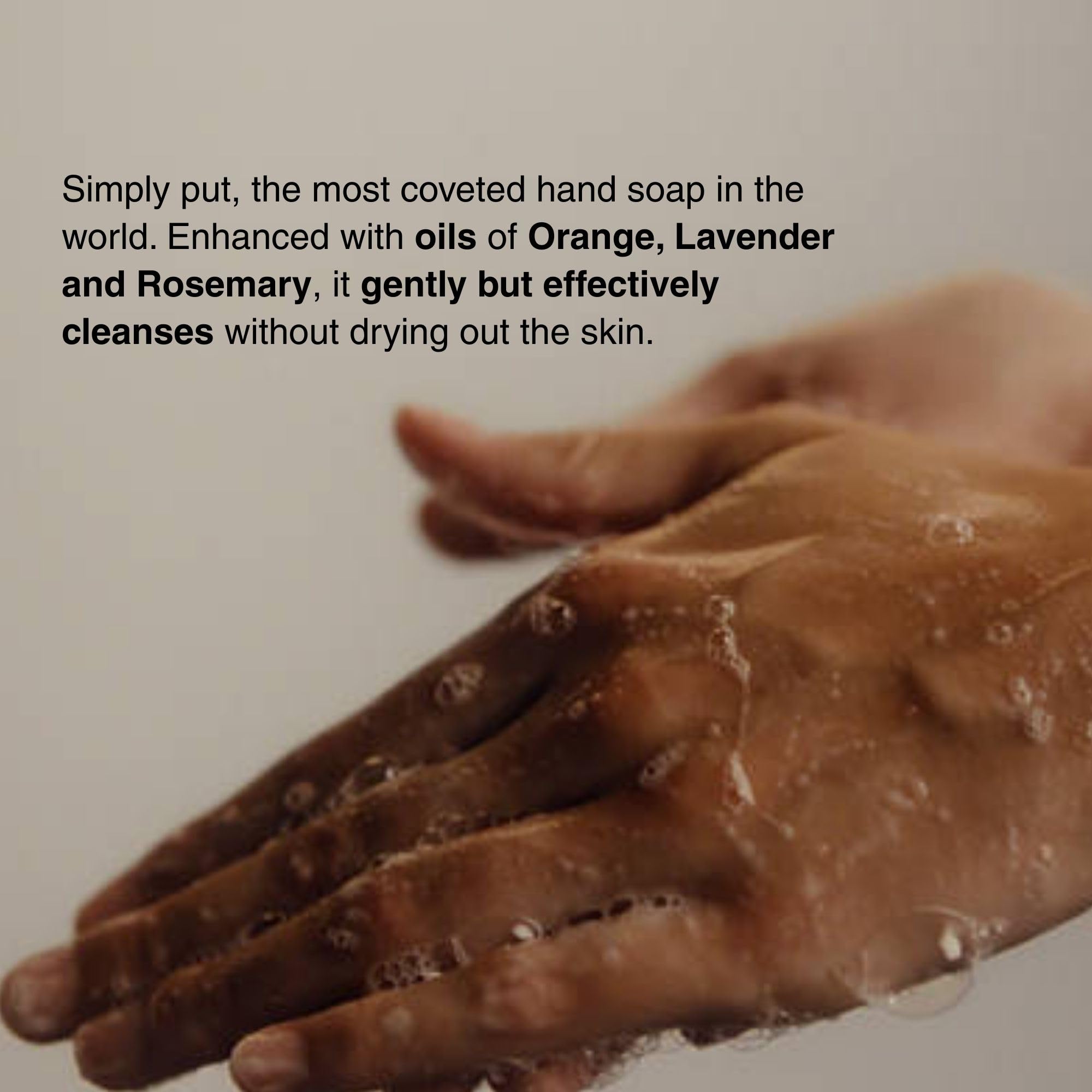 Aesop liquid hand cleanser gel bottle showcasing the citrus and herbaceous ingredients label