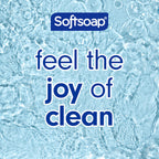 Softsoap liquid hand soap pump dispenser close up detail