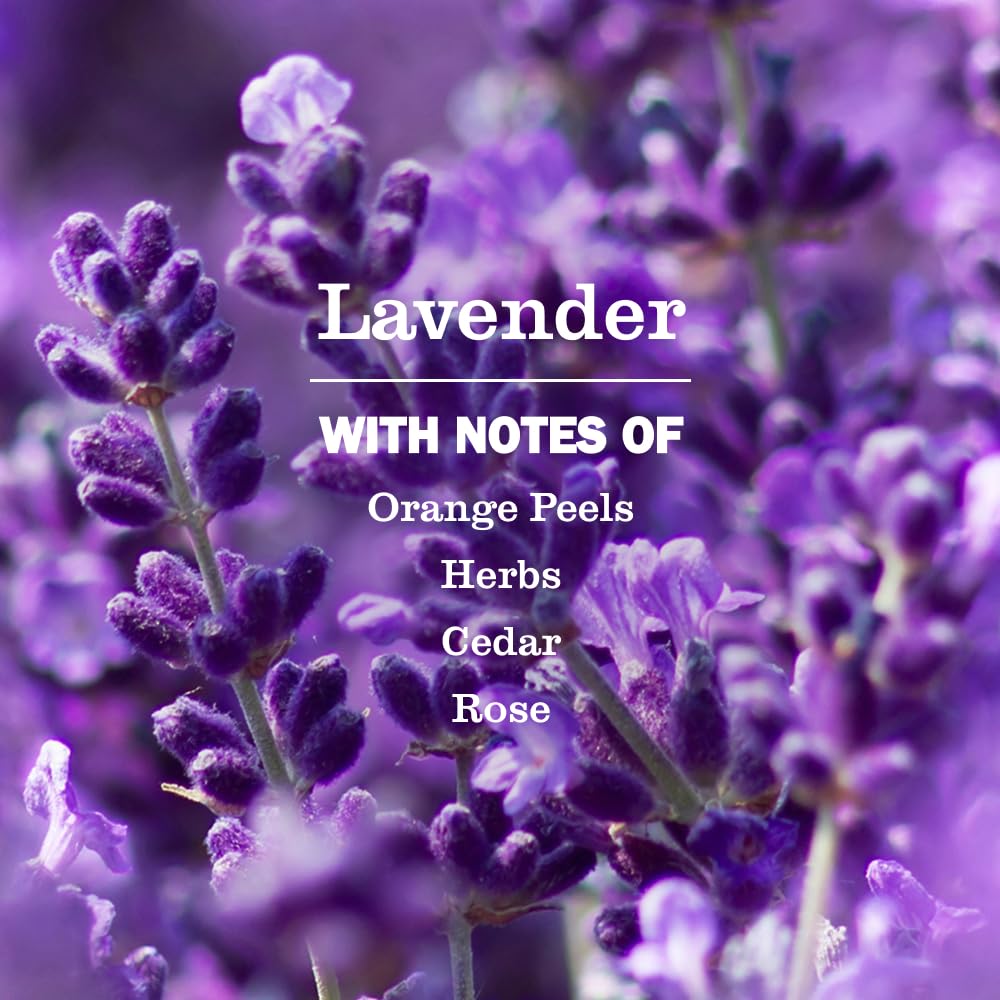 Cruelty free plant derived lavender hand wash refill packaging details