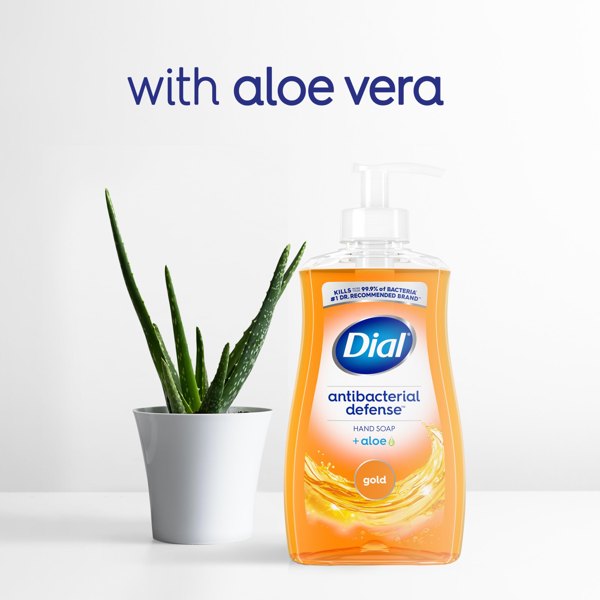 Authentic Dial Antibacterial Defense soap pack on bathroom counter