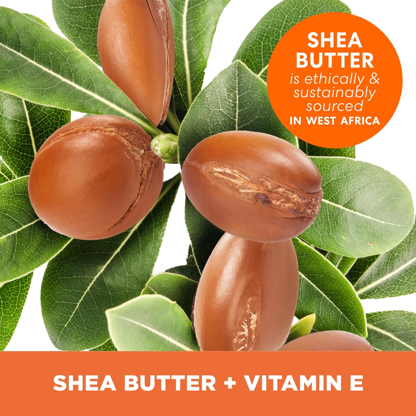 Close up of Palmer's shea butter balm label and ingredient details