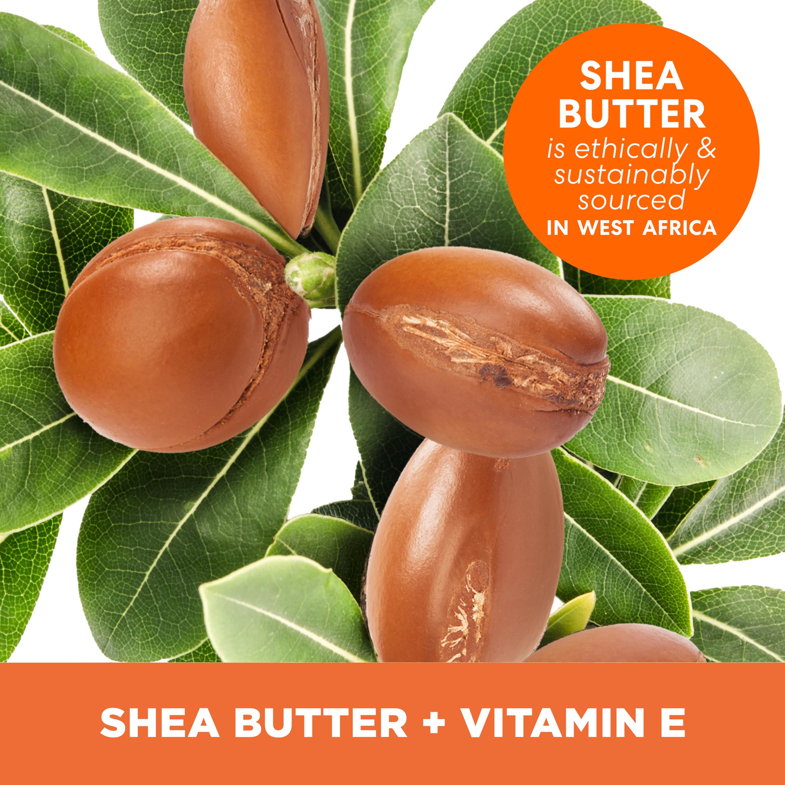 Close up of Palmer's shea butter balm label and ingredient details
