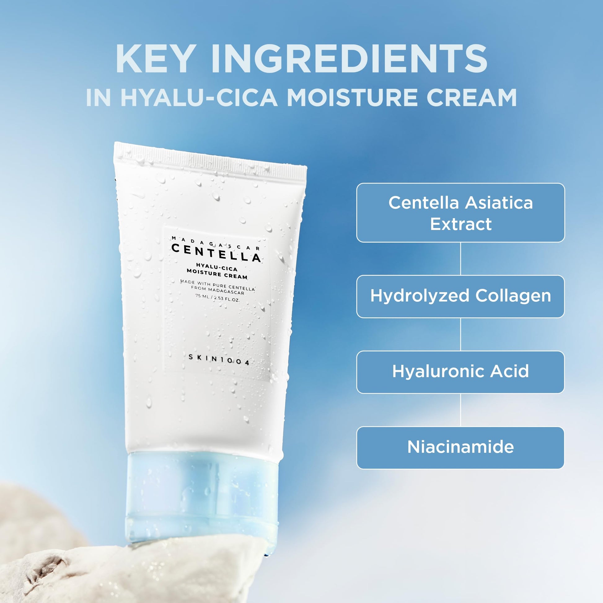 Authentic Skin1004 moisture cream for deep hydration
