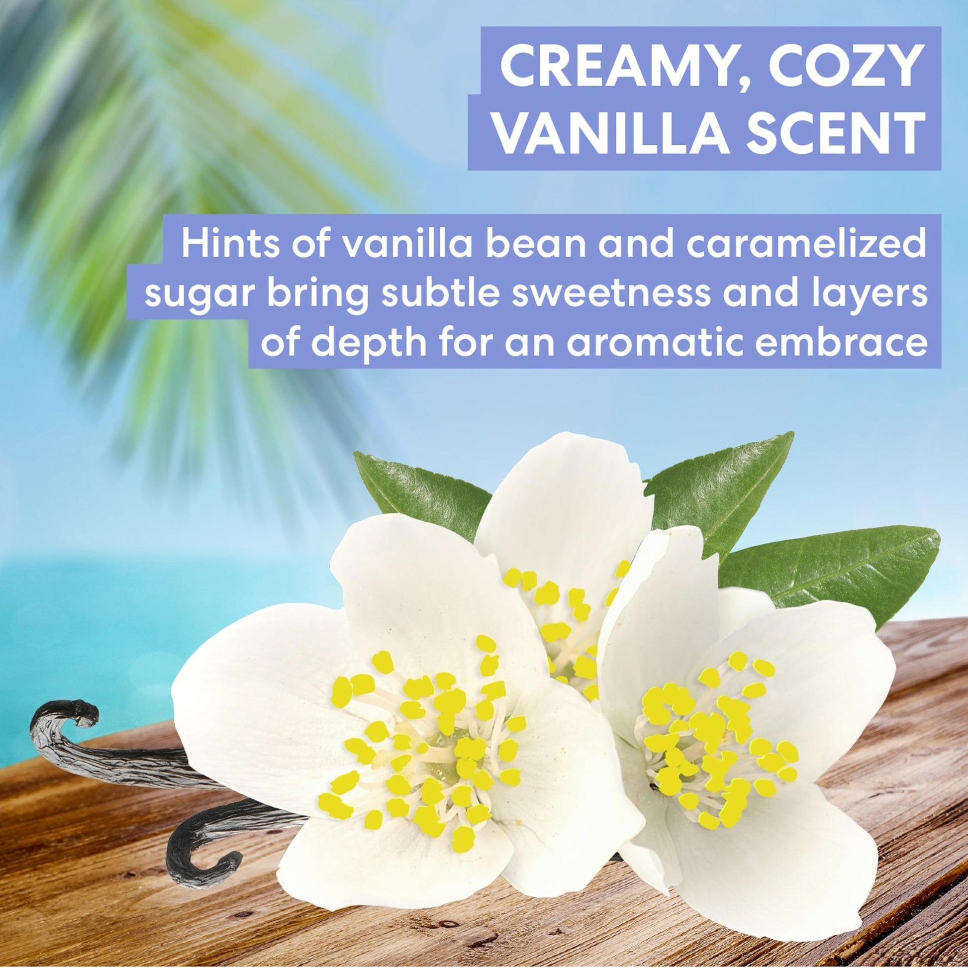Back label details of the imported Palmer's vanilla body lotion including instructions and components list