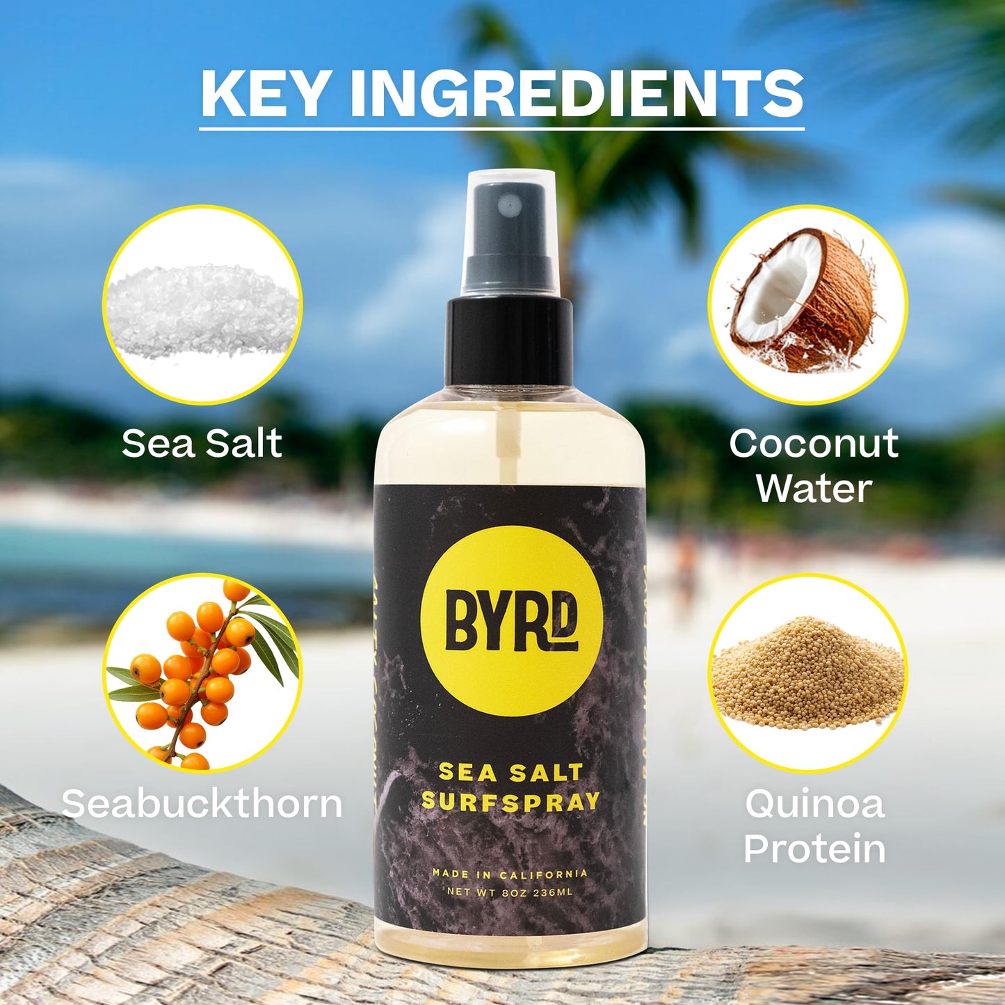 Back of Byrd Hairdo Products surf spray with ingredient details