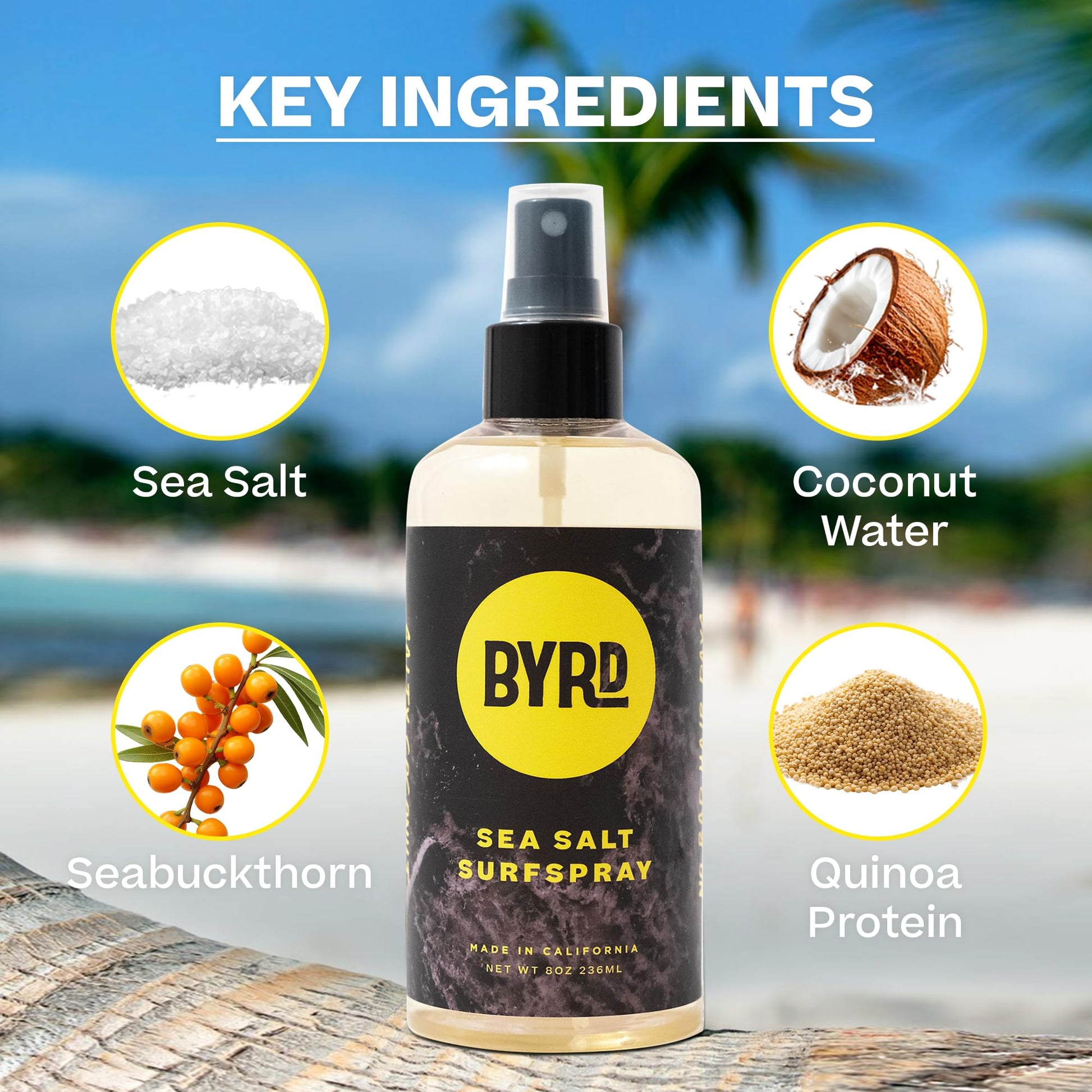 Back of Byrd Hairdo Products surf spray with ingredient details