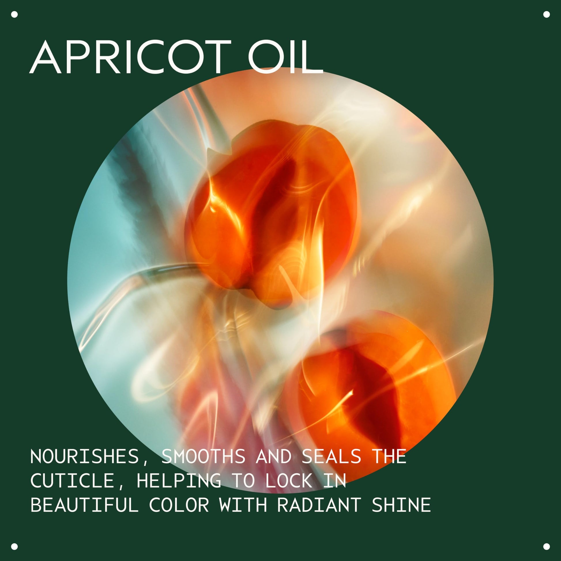 Back label of Aveda silicone free color control spray displaying natural ingredients and directions.