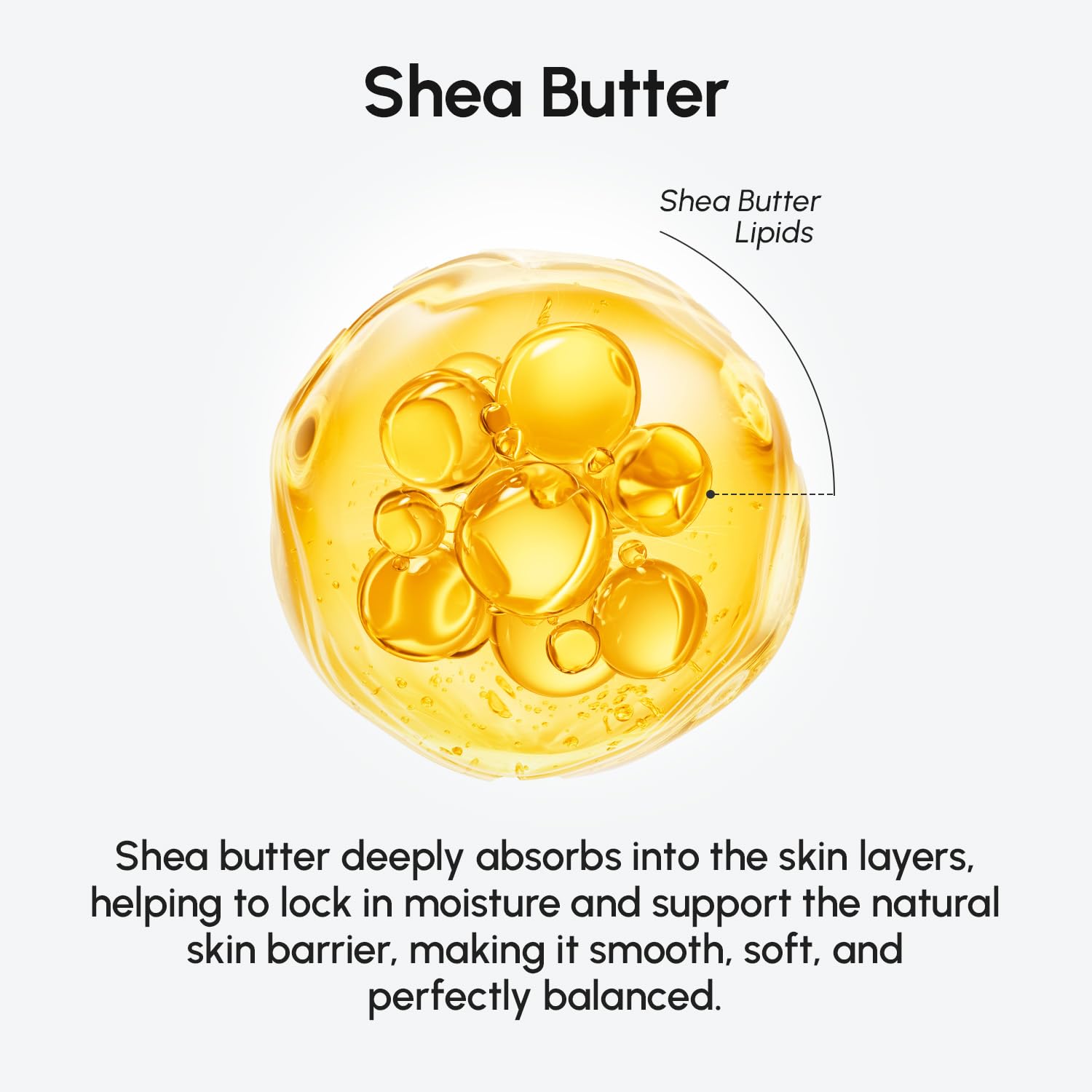 MAREE nourishing body butter mousse lightweight texture visualization