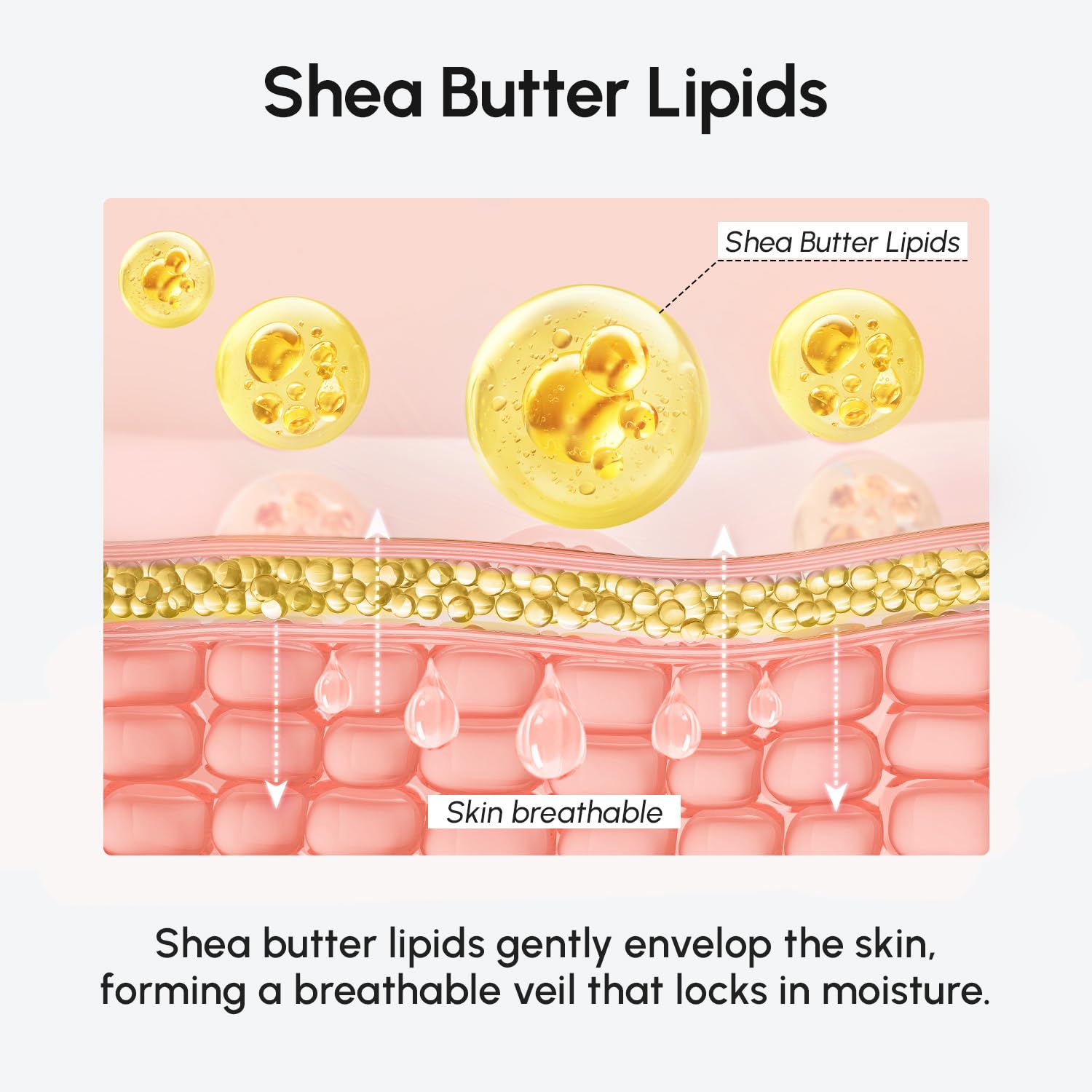 MAREE deep hydration whipped cream for dry skin care routine