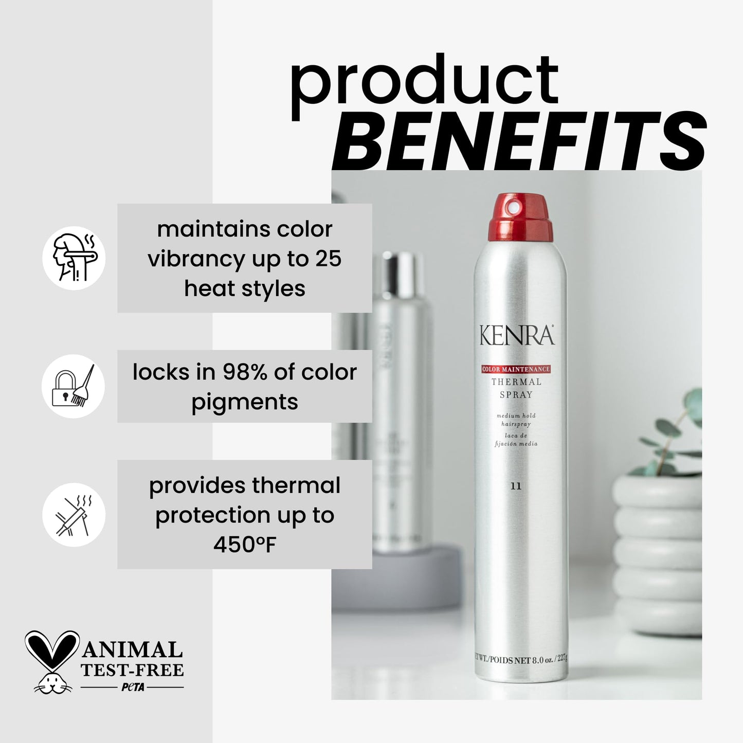 Kenra Color Maintenance Thermal Spray 11 heat protection details