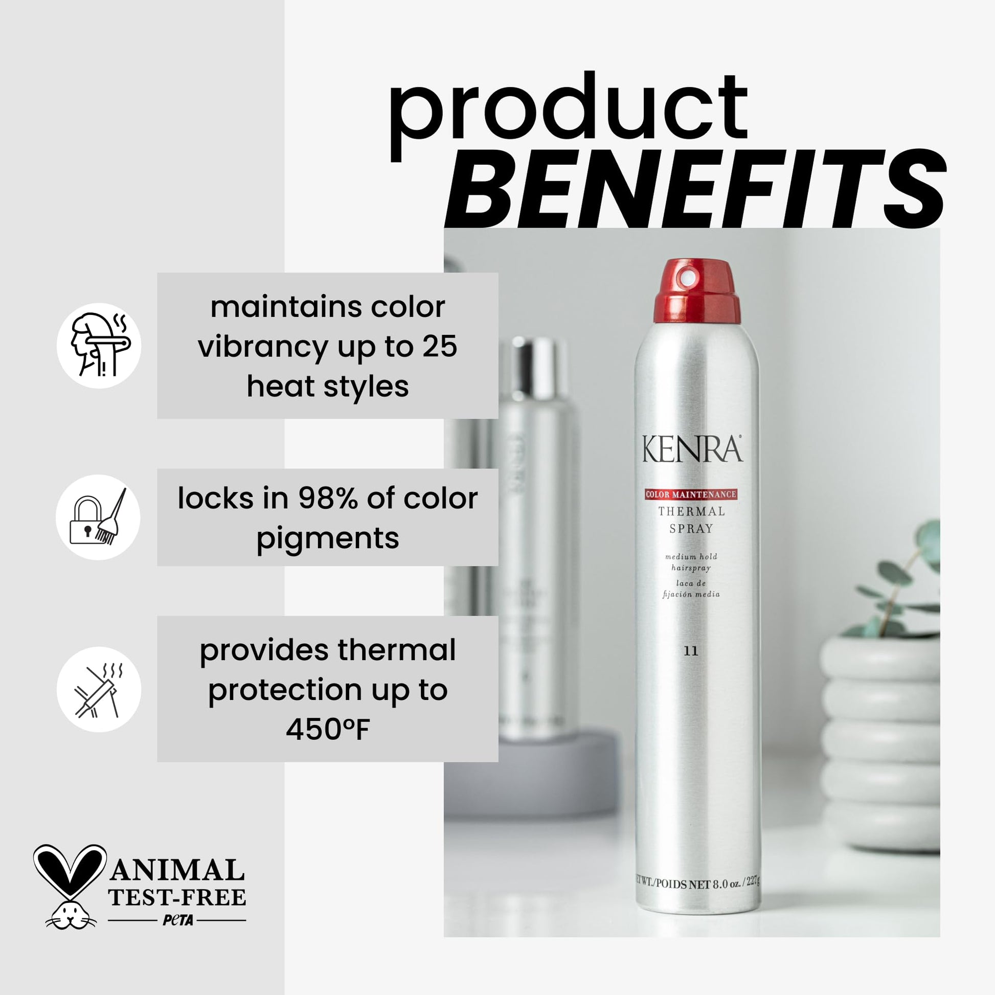 Kenra Color Maintenance Thermal Spray 11 heat protection details