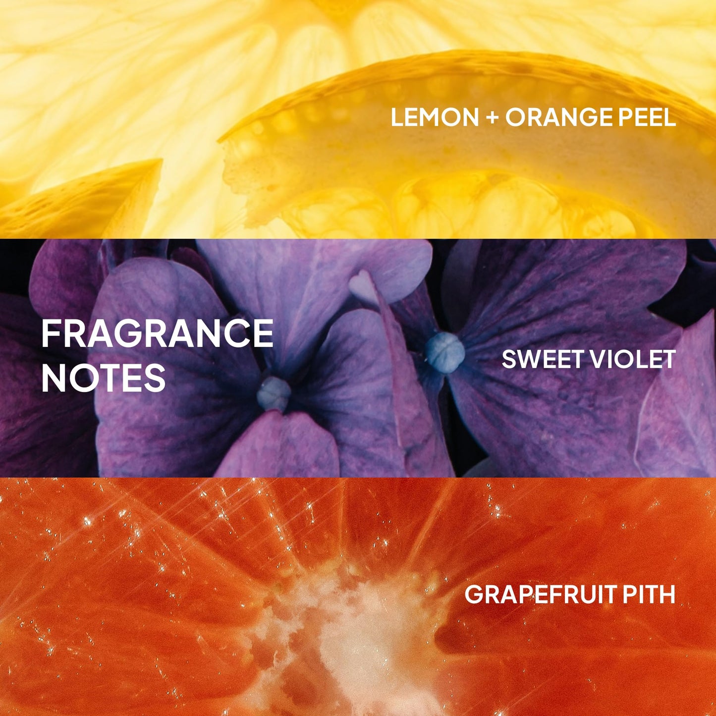 Authentic Verb hair care product packaging layout