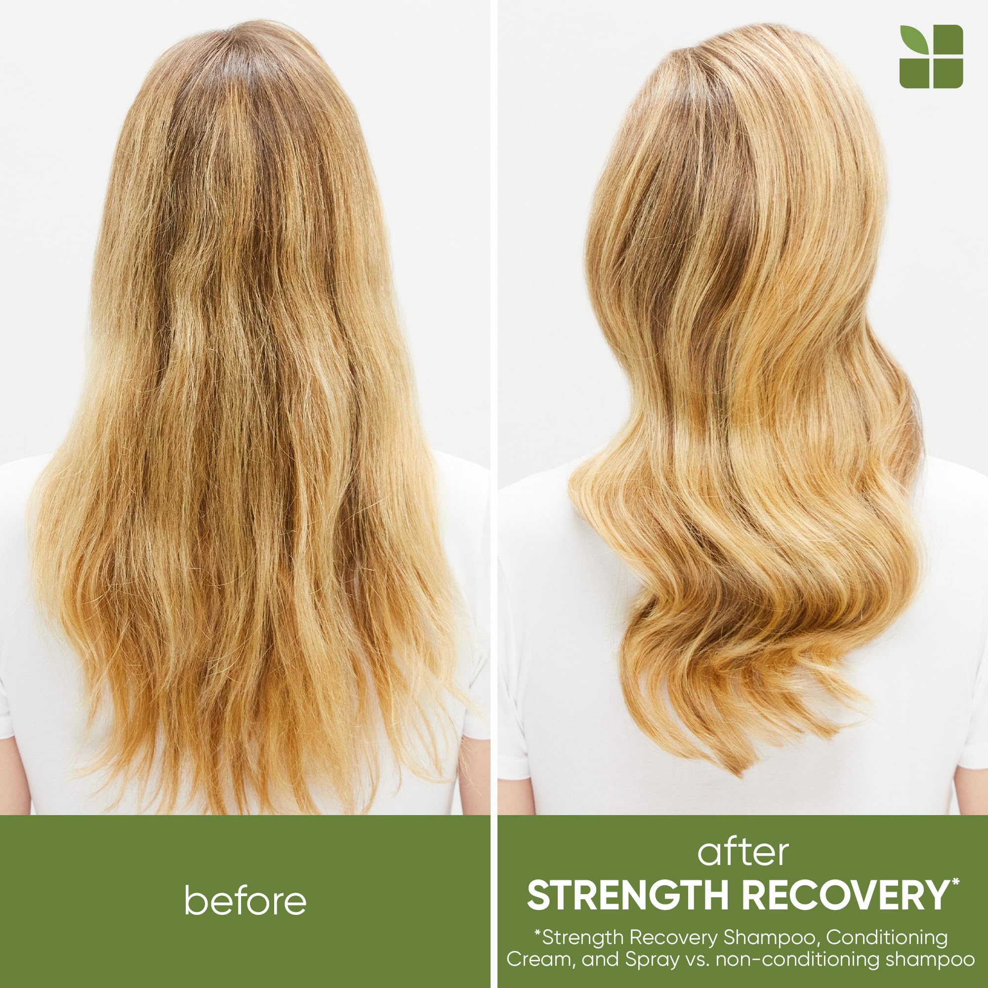Biolage Strength Recovery Leave In treatment spray label instructions detail view