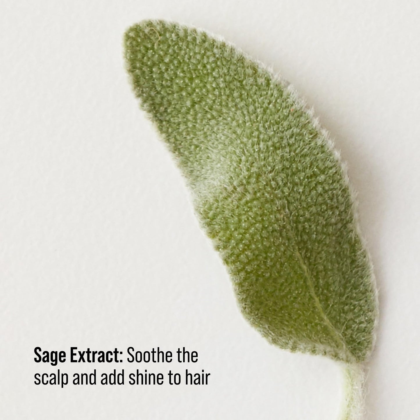 Vegan and cruelty free detangling spray bottle showing product details.