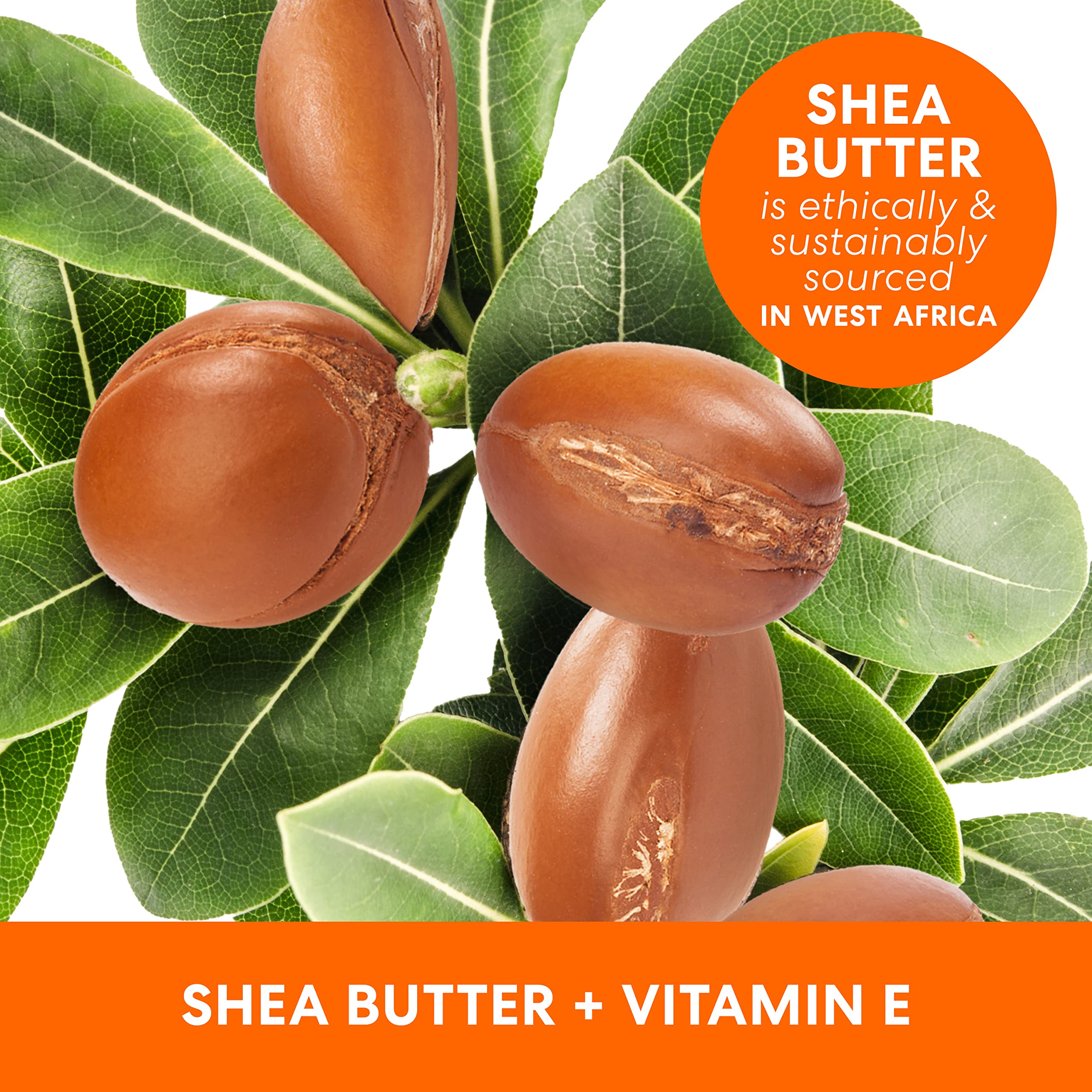 Close up of Palmers Shea Formula bottle texture and branding