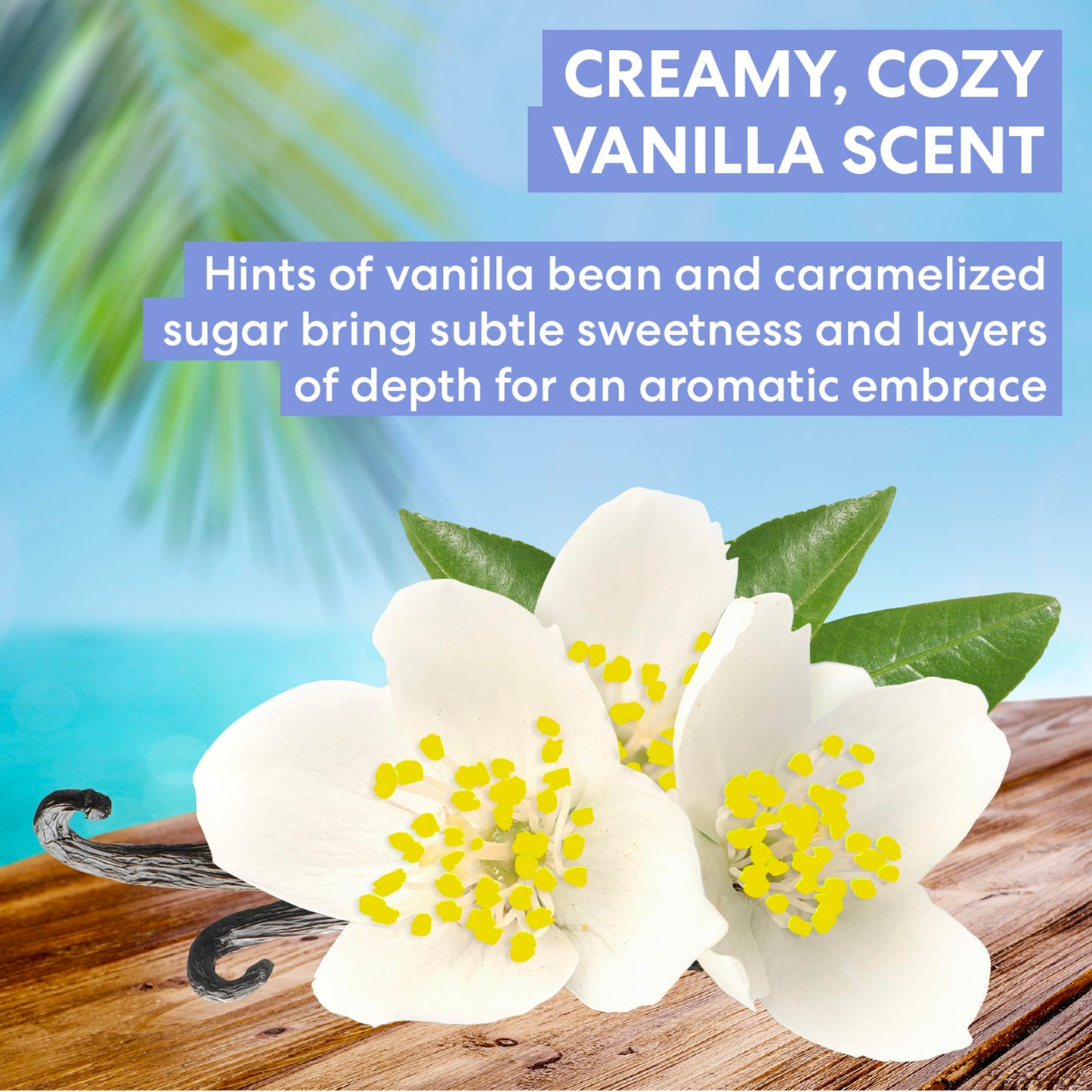 Close up label details of Palmer's Cocoa Butter body oil