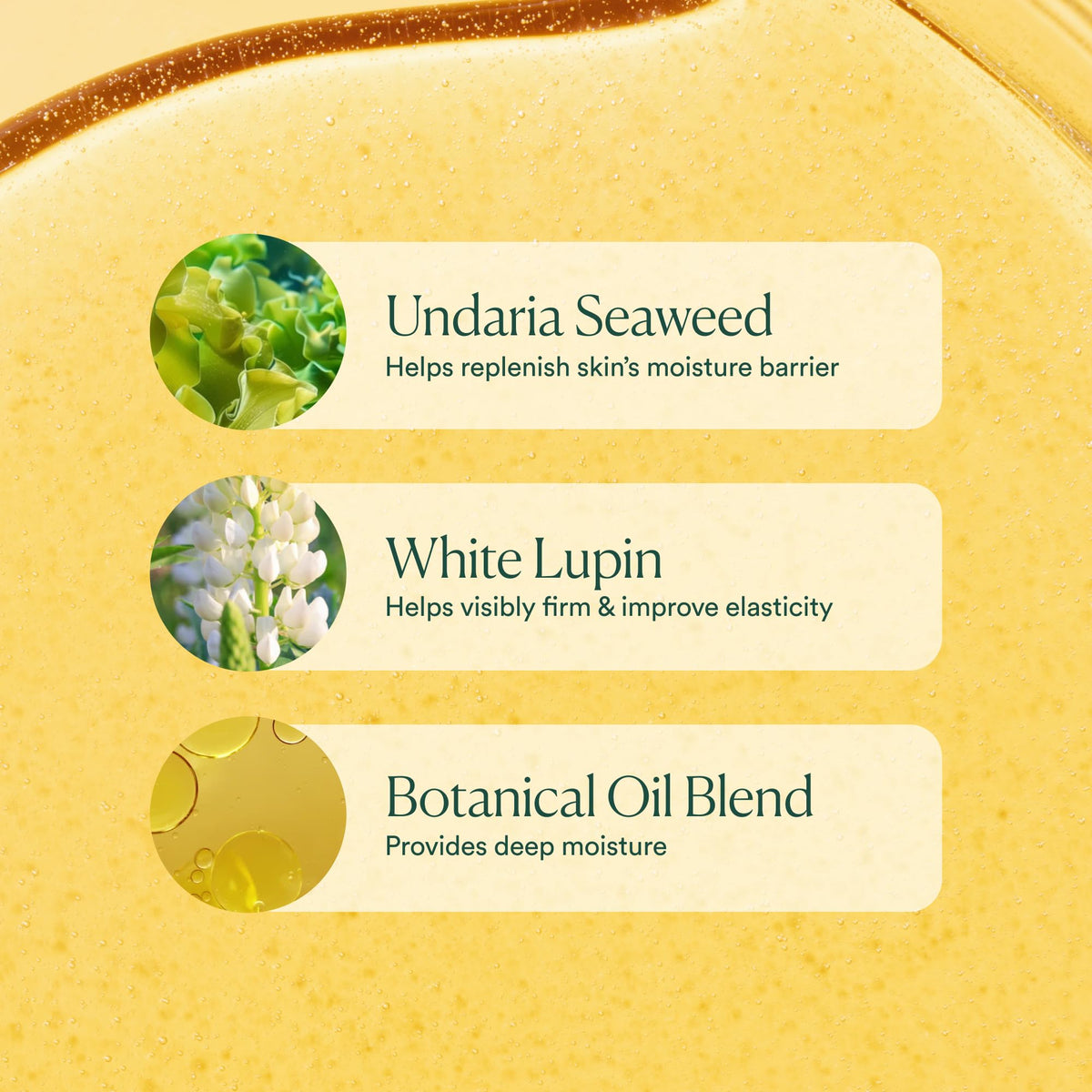 Osea Undaria Algae Body Oil packaging and label typography