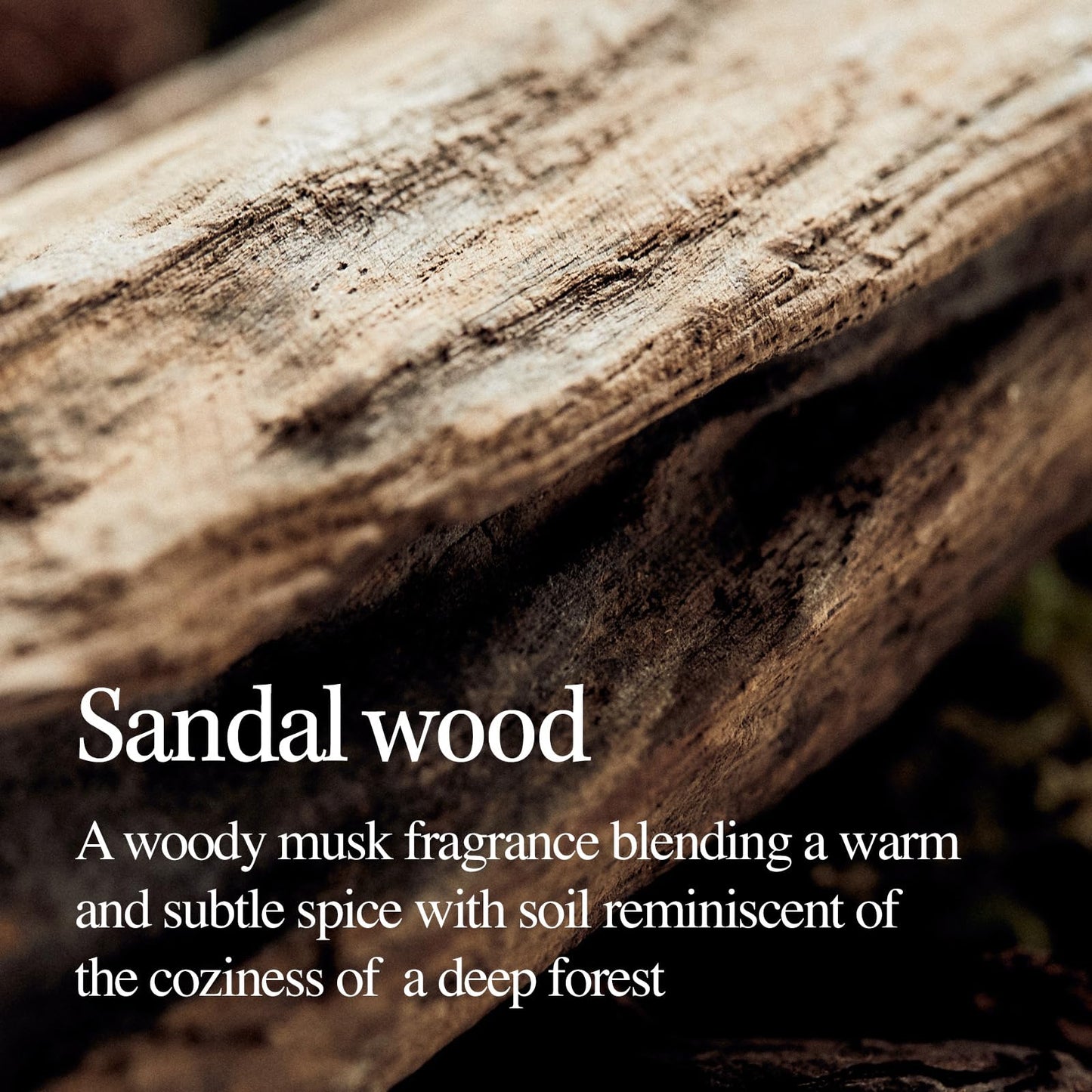 Application of Longtake Sandalwood Intensive Hair Perfume Treatment on hair