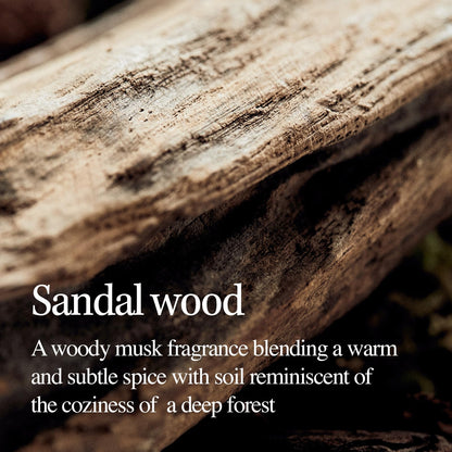 Application of Longtake Sandalwood Intensive Hair Perfume Treatment on hair