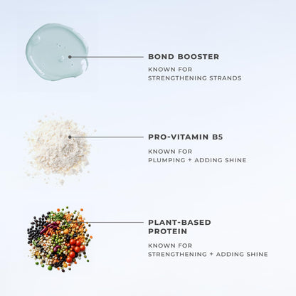 XMONDO semi permanent color mask application process on hair