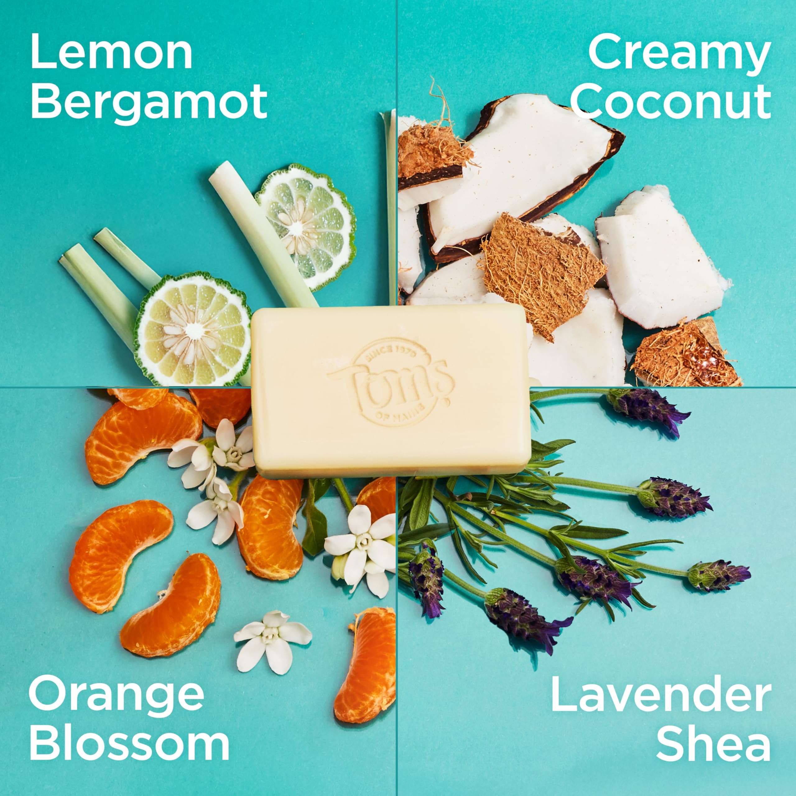 Tom's Of Maine plant based body soap assortment including Lavender and Creamy Coconut options