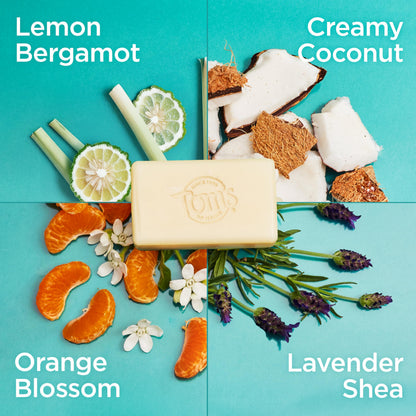 Tom's Of Maine plant based body soap assortment including Lavender and Creamy Coconut options