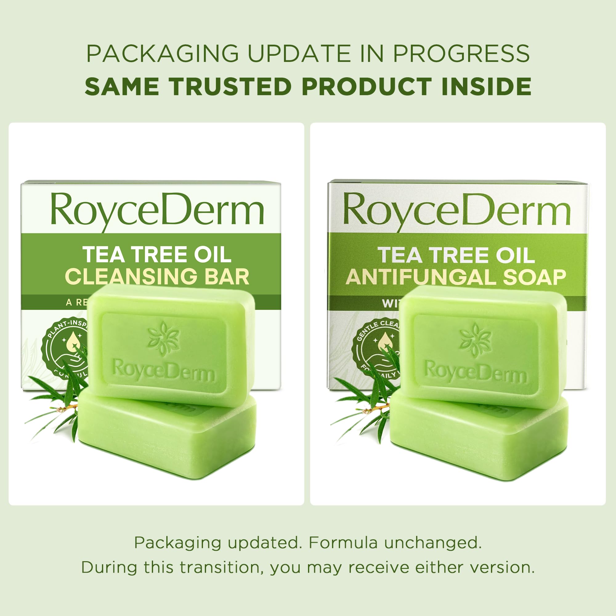Roycederm Tea Tree Oil Soap bar unpacked illustrating texture and plant-inspired formula.