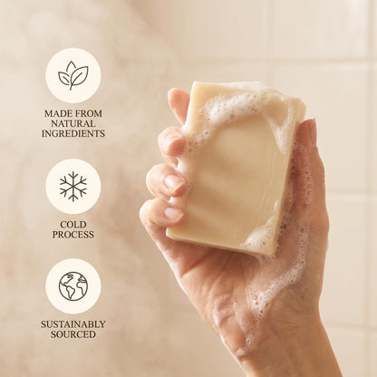 Terra Lotus all natural unscented beef tallow soap set displayed alongside raw skincare ingredients