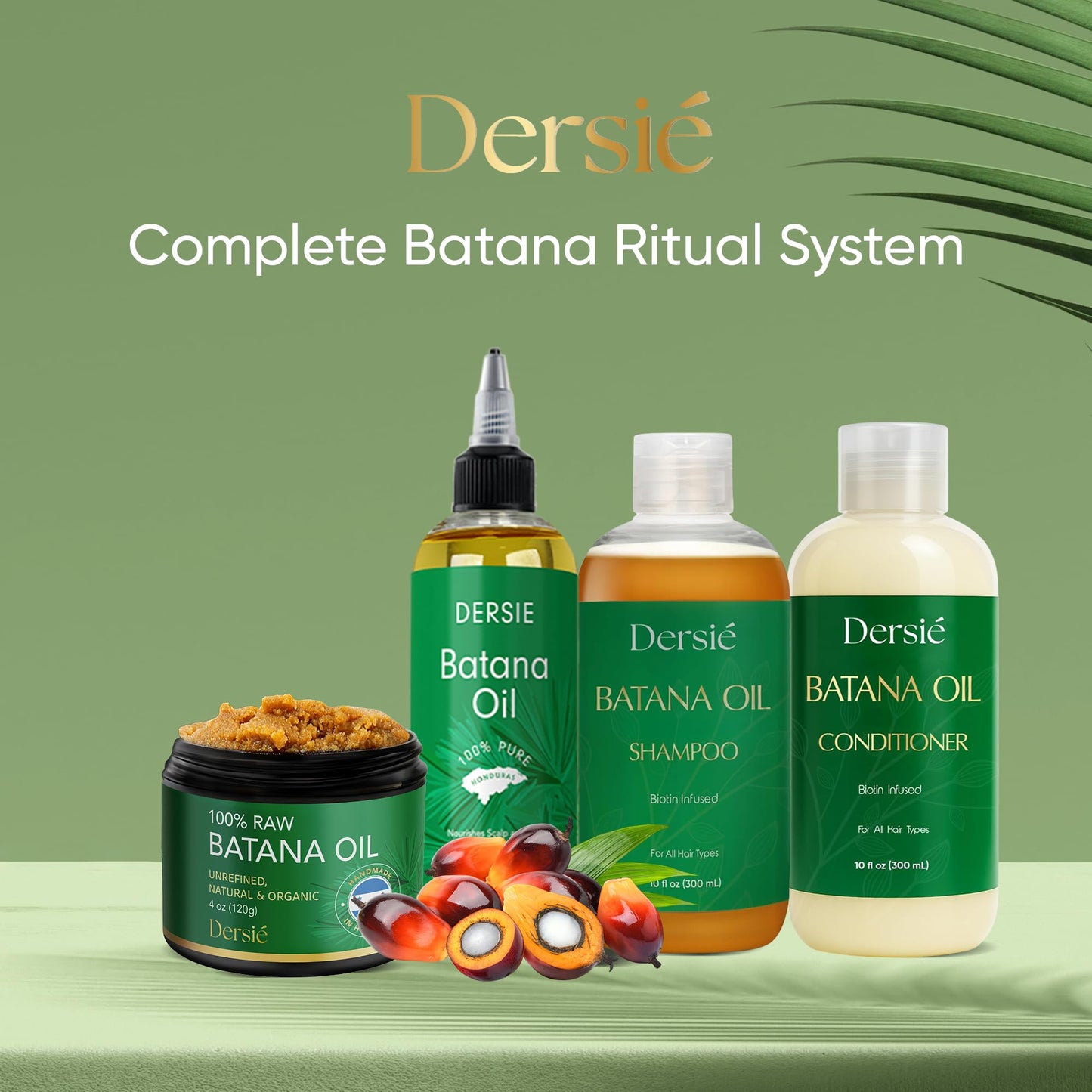 Dersie cold pressed batana oil scalp application demonstration
