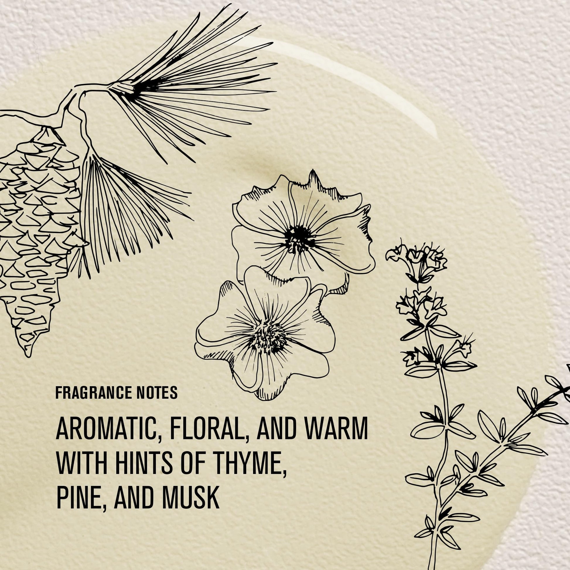 Davines anti frizz hair oil for dry and coarse hair